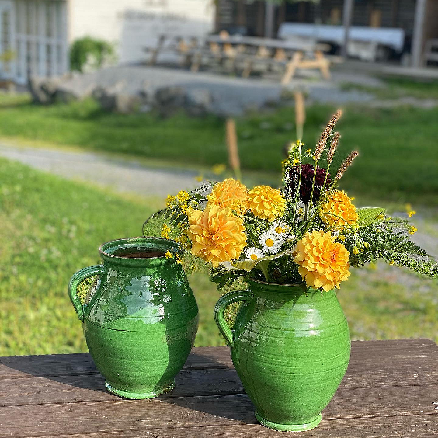 Kurs i blomsterdyrking