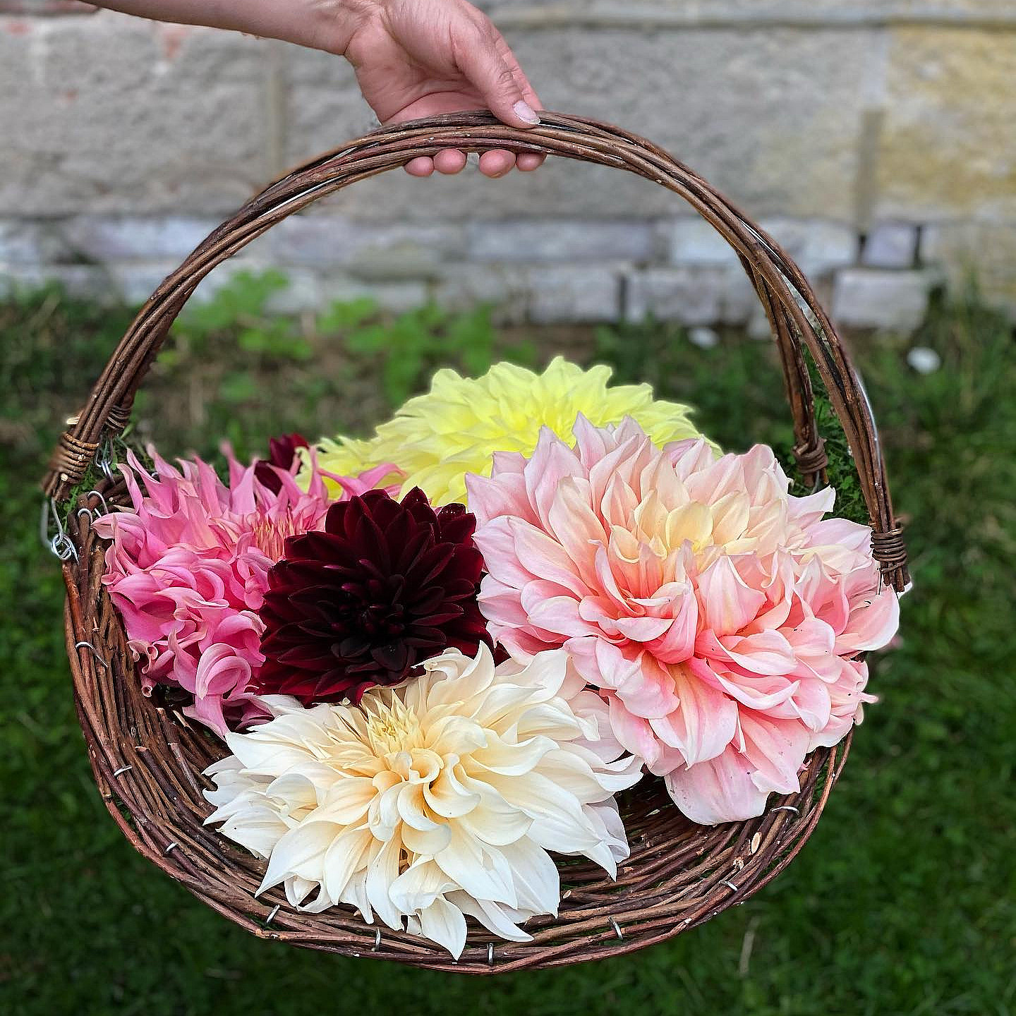 Kurs i blomsterdyrking