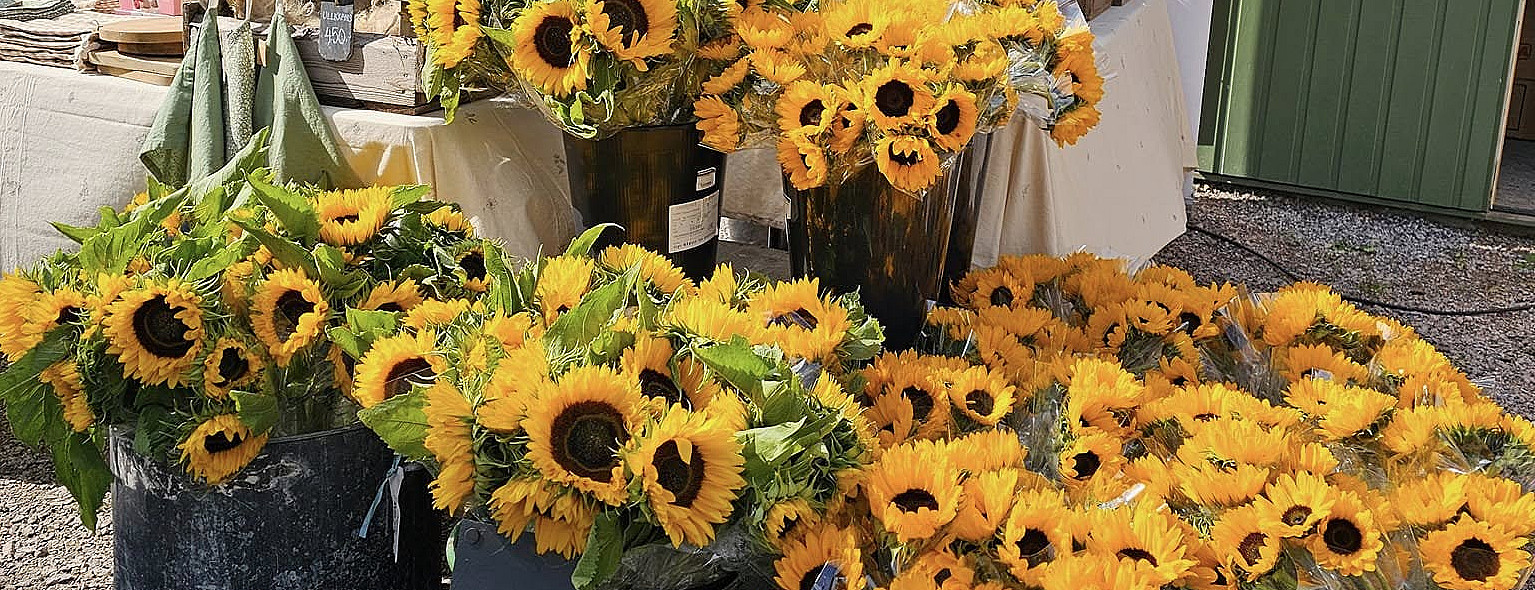 Kurs i blomsterdyrking