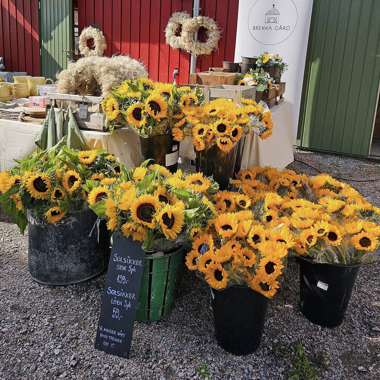 Kurs i blomsterdyrking