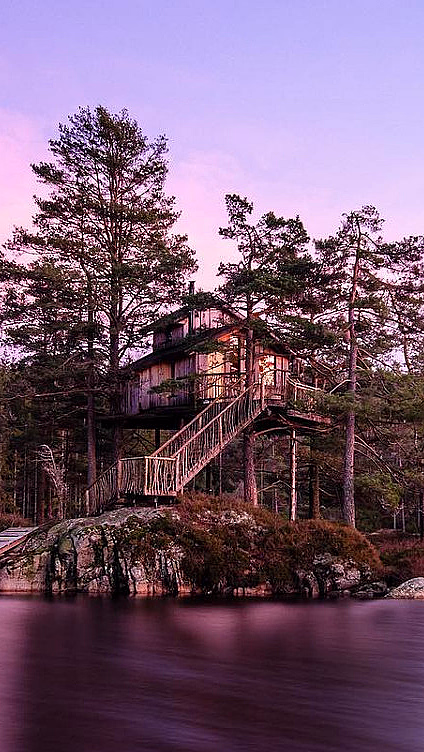 Natt i tretopphytte - image 1