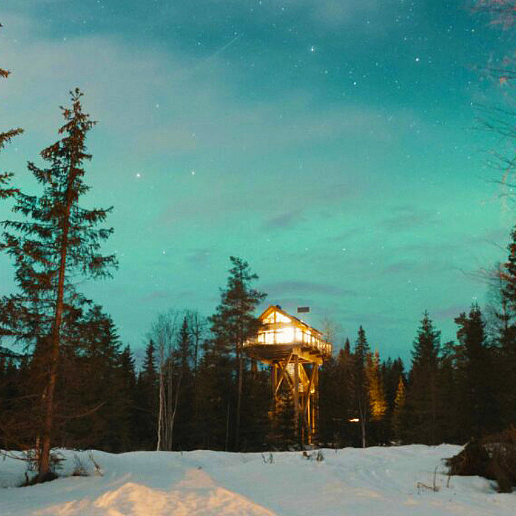 Natt i tretopphytte