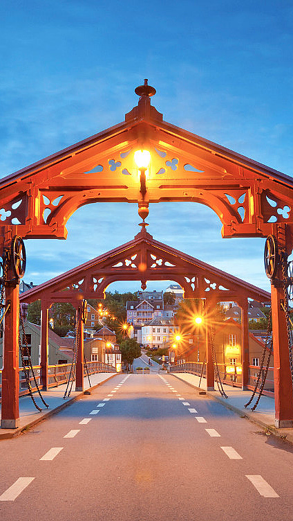Trondheim Highlight Tour - image 2