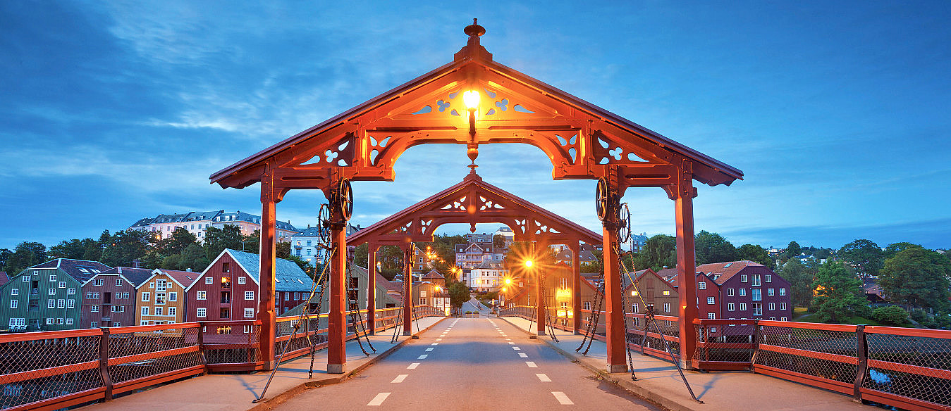 Trondheim Highlight Tour - image 2