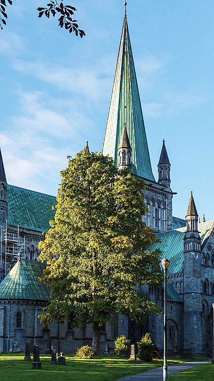 Trondheim Culture Walk - image 2