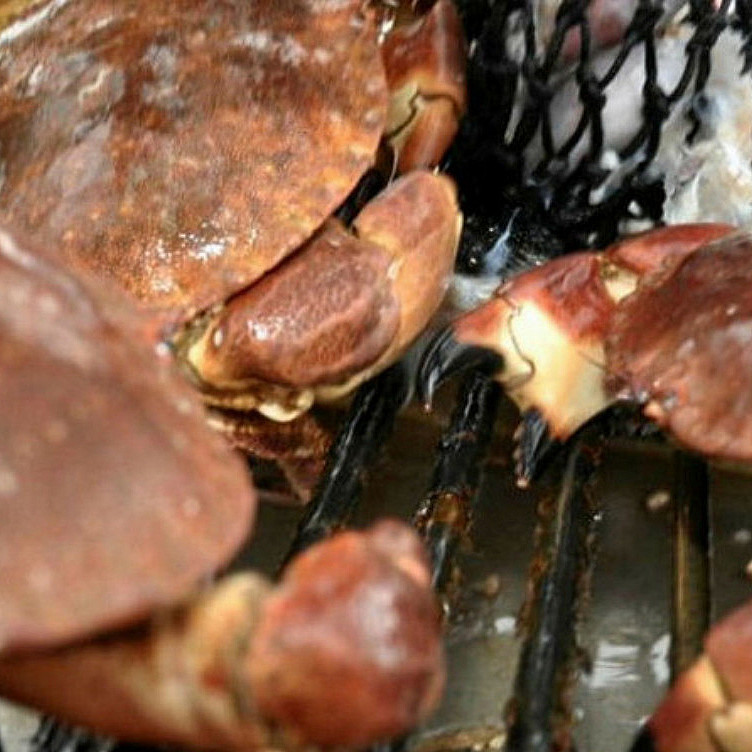 Fisketur med matlaging