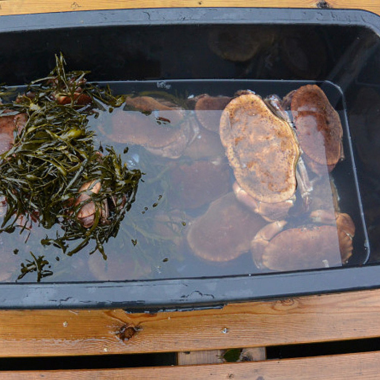 Fisketur med matlaging