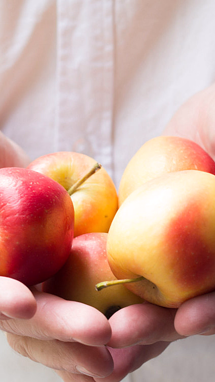 Ciderbrygging - image 1