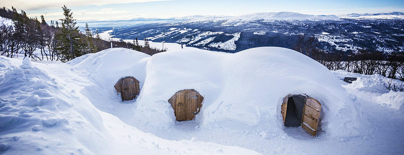 Snøhotell med femretters