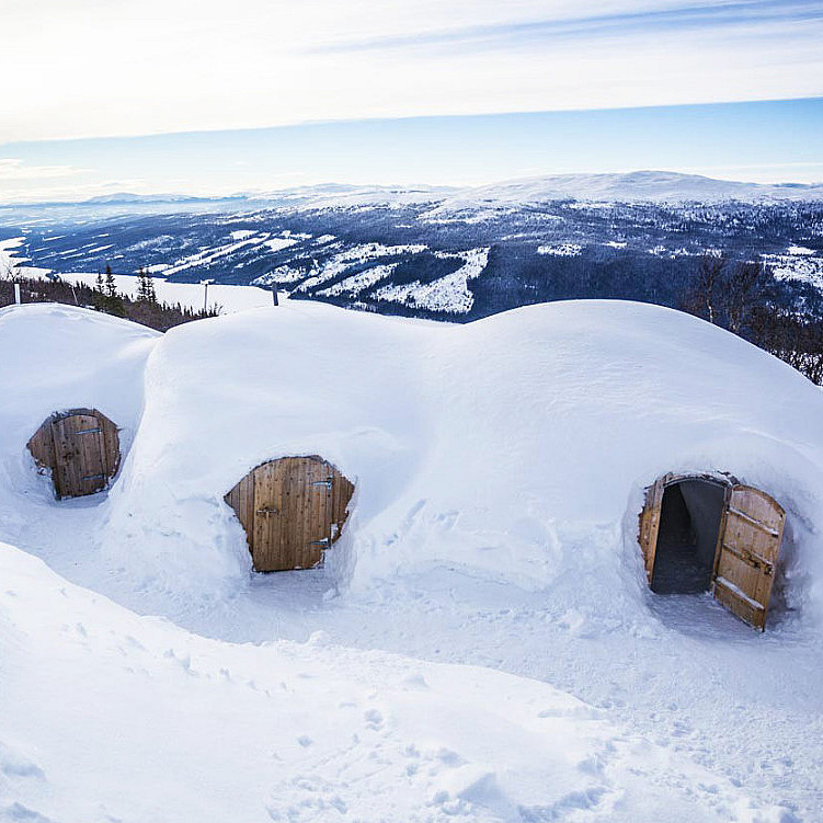 Snøhotell med femretters