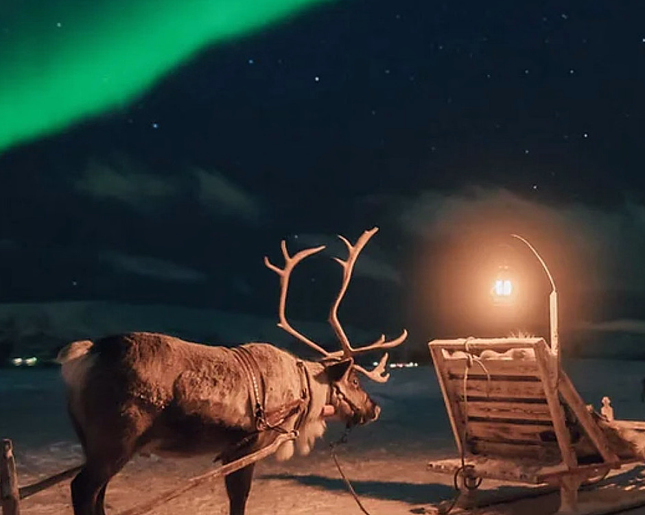 Reinsdyr med gevir trekker slede med lykt på snø under stjernehimmel og nordlys