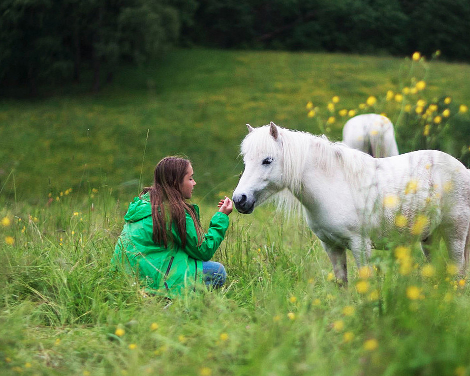 Dyrepasser for en dag