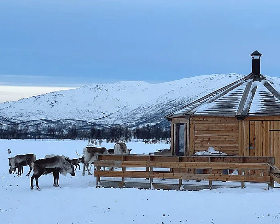 Trehytte og reinsdyr i et snølandskap med fjell i bakgrunnen