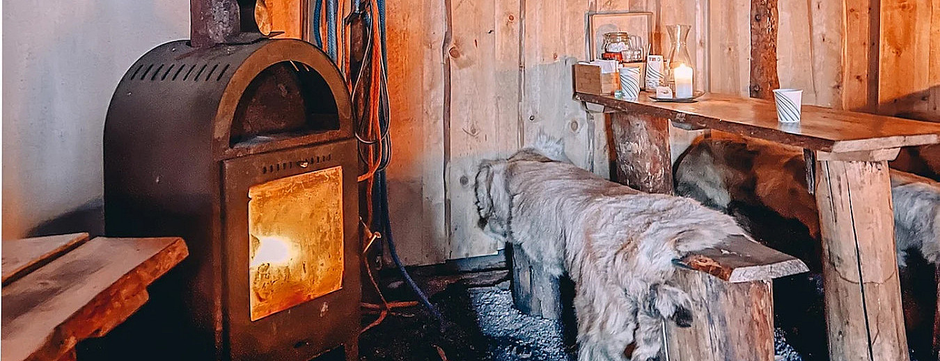 Reinsdyrforing og samisk kultur