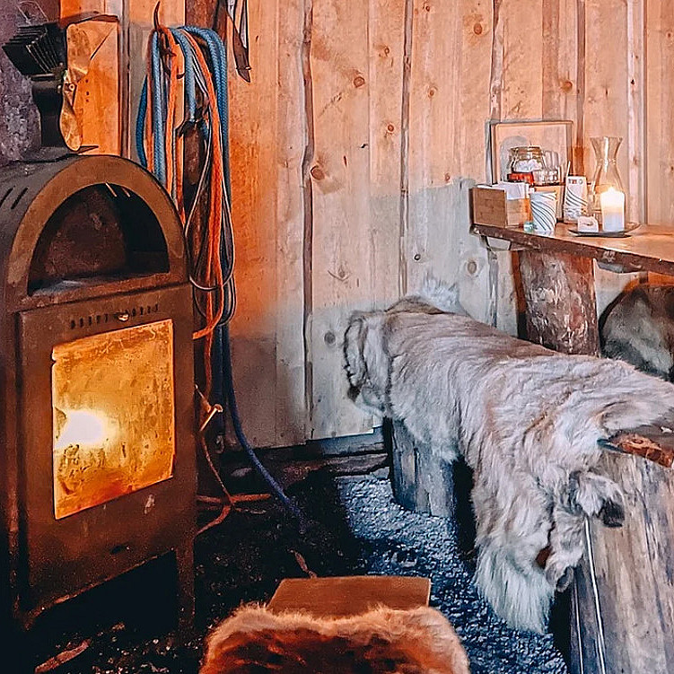 Reinsdyrforing og samisk kultur