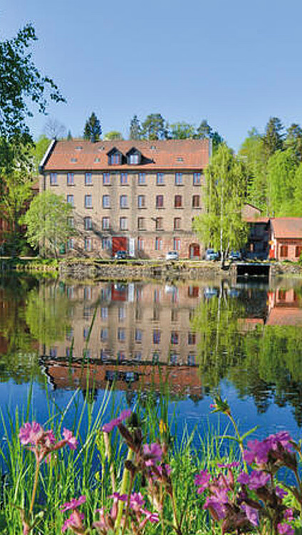 Store murbygninger i teglstein som speiler seg i et vann med lilla blomster i forgrunnen