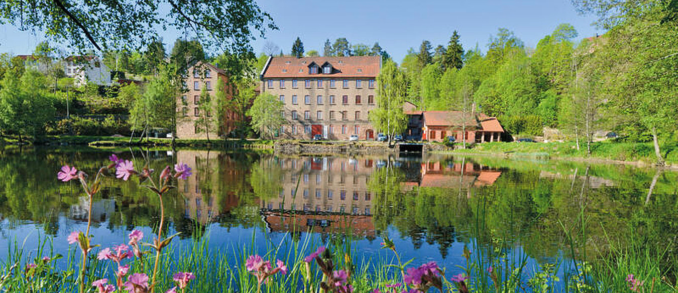 Store murbygninger i teglstein som speiler seg i et vann med lilla blomster i forgrunnen