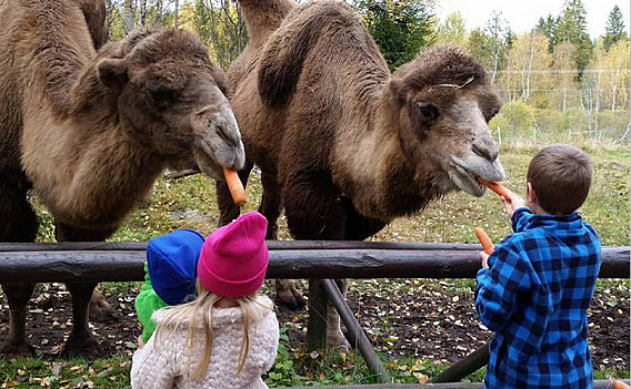 Familiedag i dyreparken