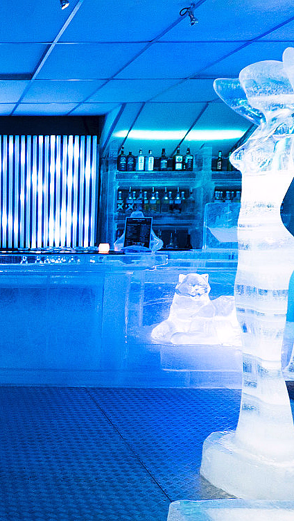 Icebar experience for to - image 2
