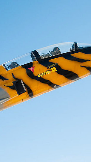 Forsvarets flysamling for to - image 3
