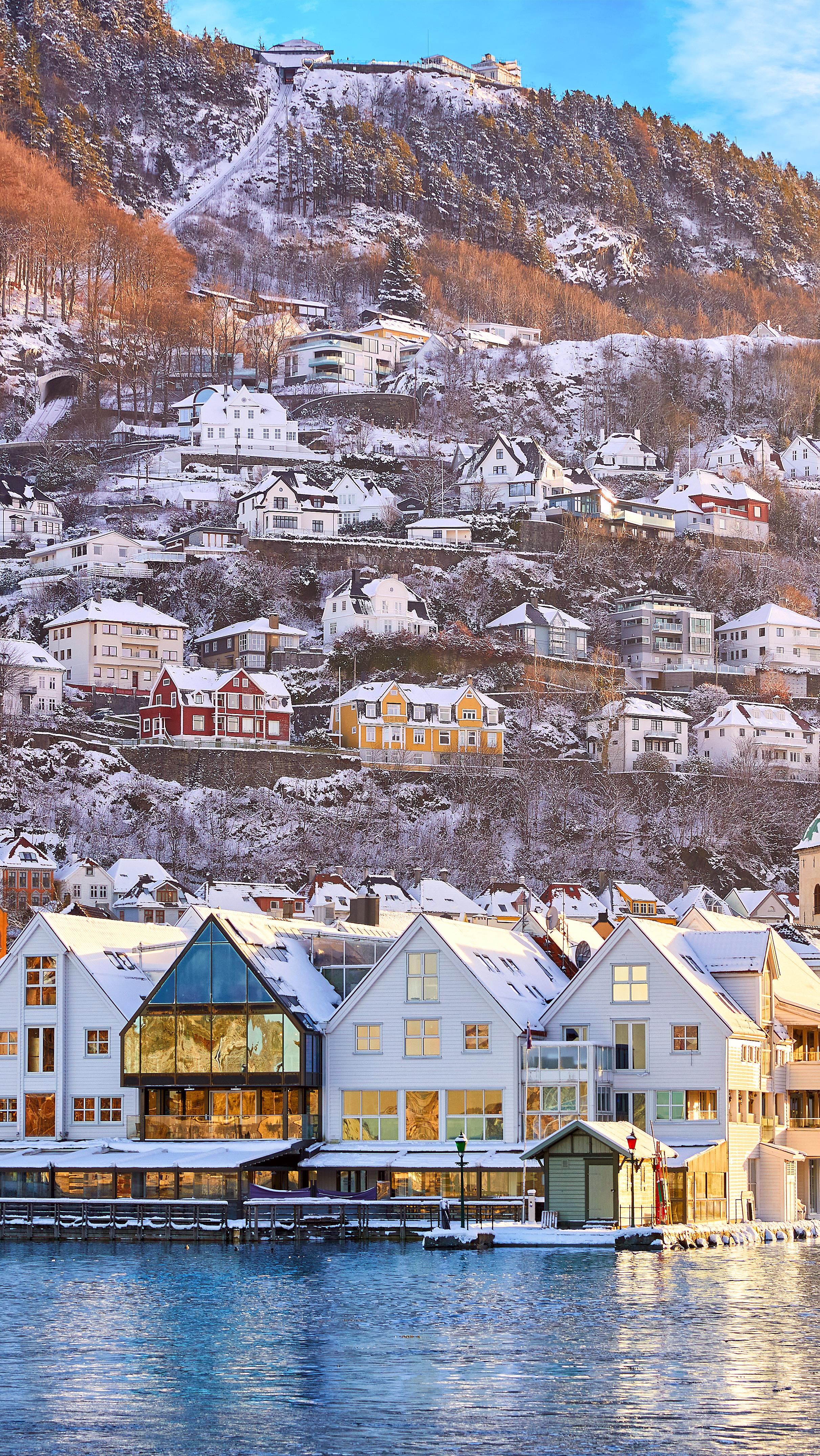 Fjordcruise i Bergen - image 4