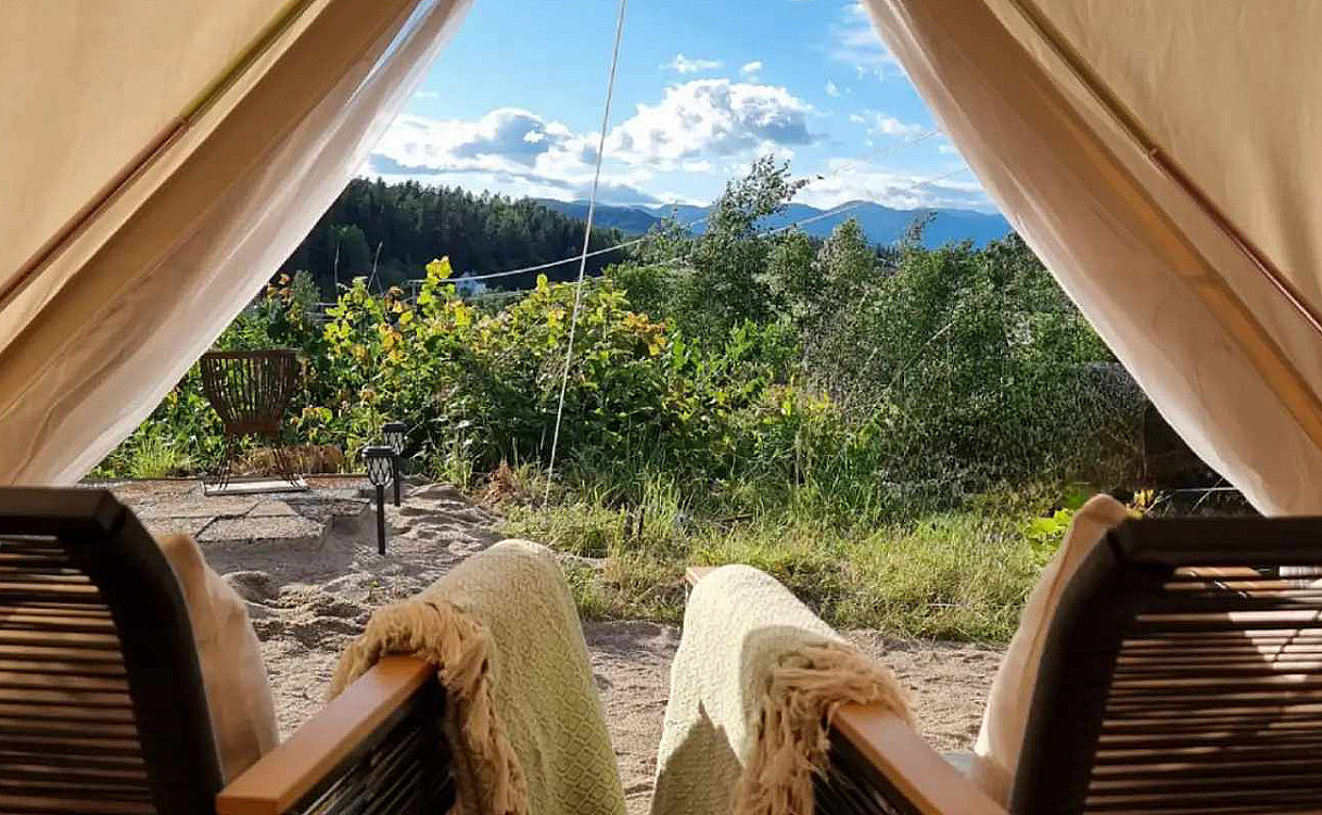 Glamping & alpakkavandring