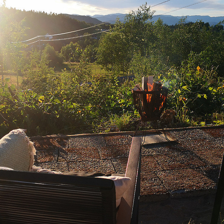 Glamping & alpakkavandring