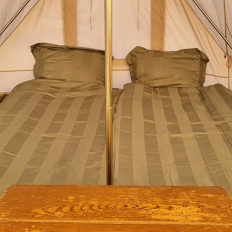 Glamping & alpakkavandring
