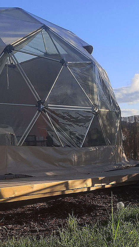 Dome Glamping & alpakkavandring - image 1