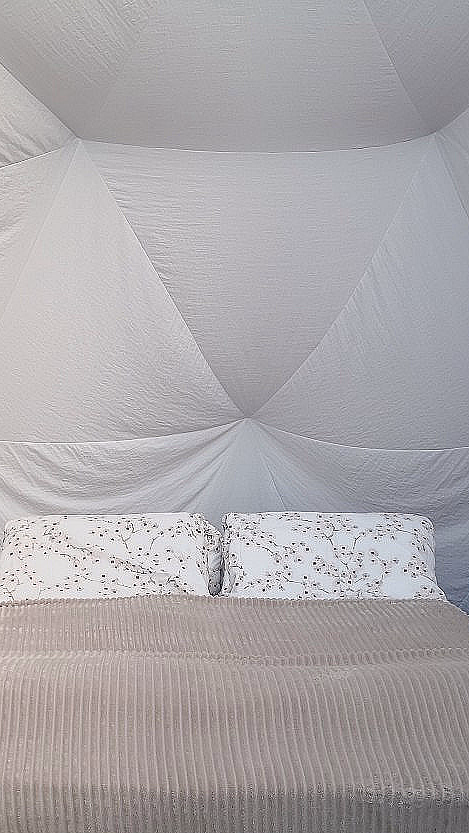 Dome Glamping & alpakkavandring - image 2