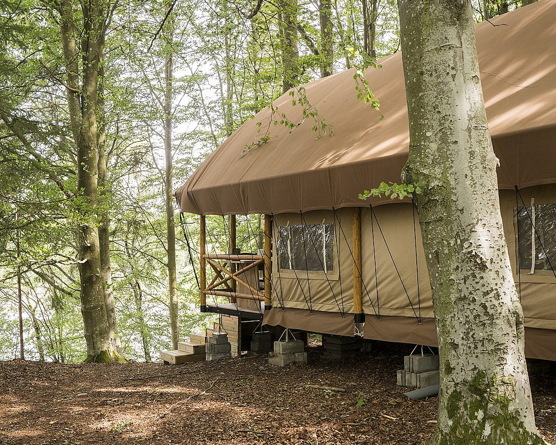 Safari Camp