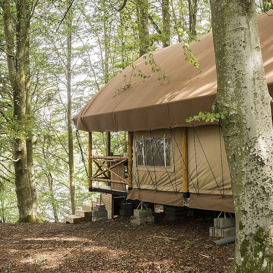 Safari Camp