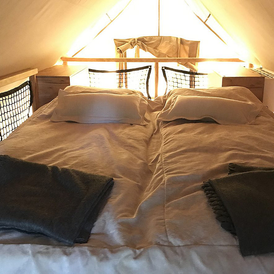 Safari Camp