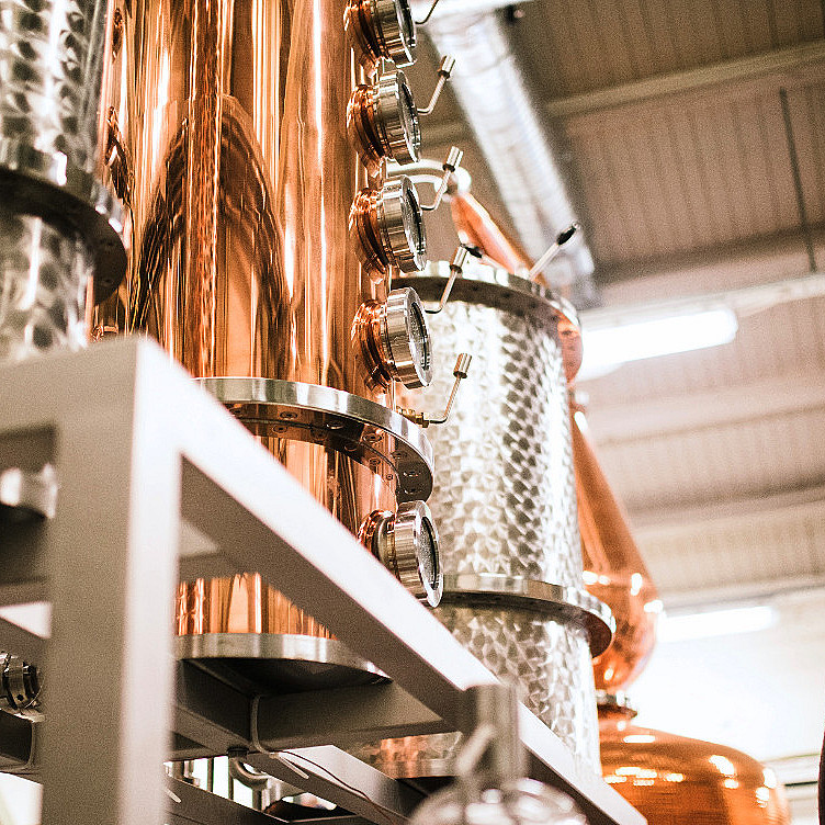 Ginsmaking med destilleriomvisning