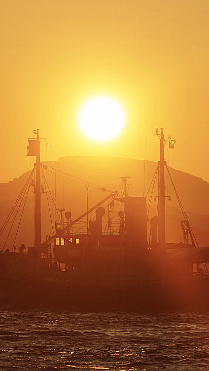 Eagle & Sunset cruise - image 2