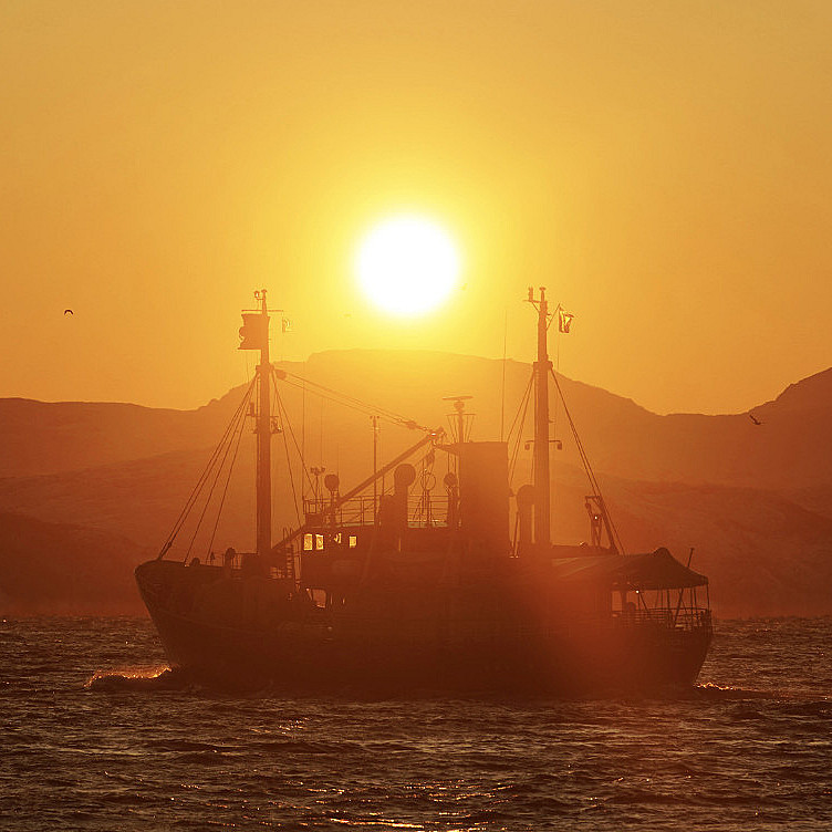 Eagle & Sunset cruise