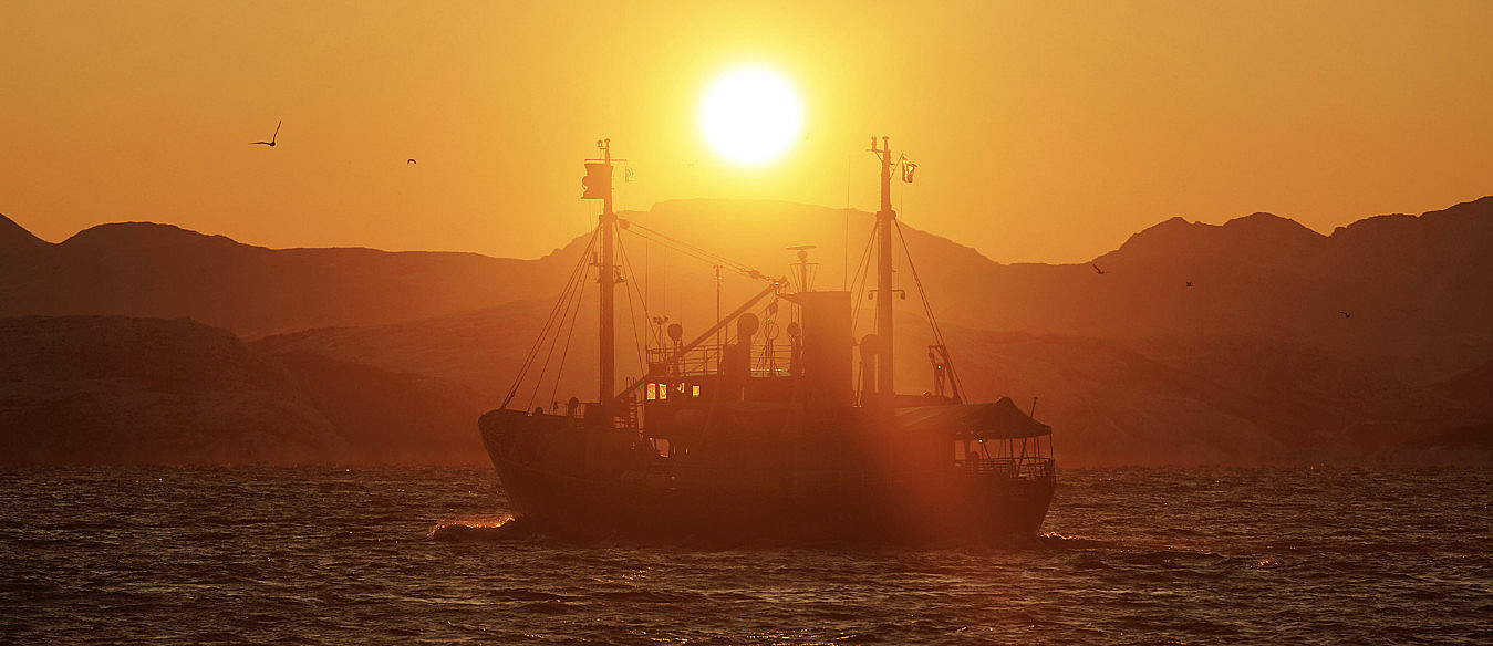 Eagle & Sunset cruise