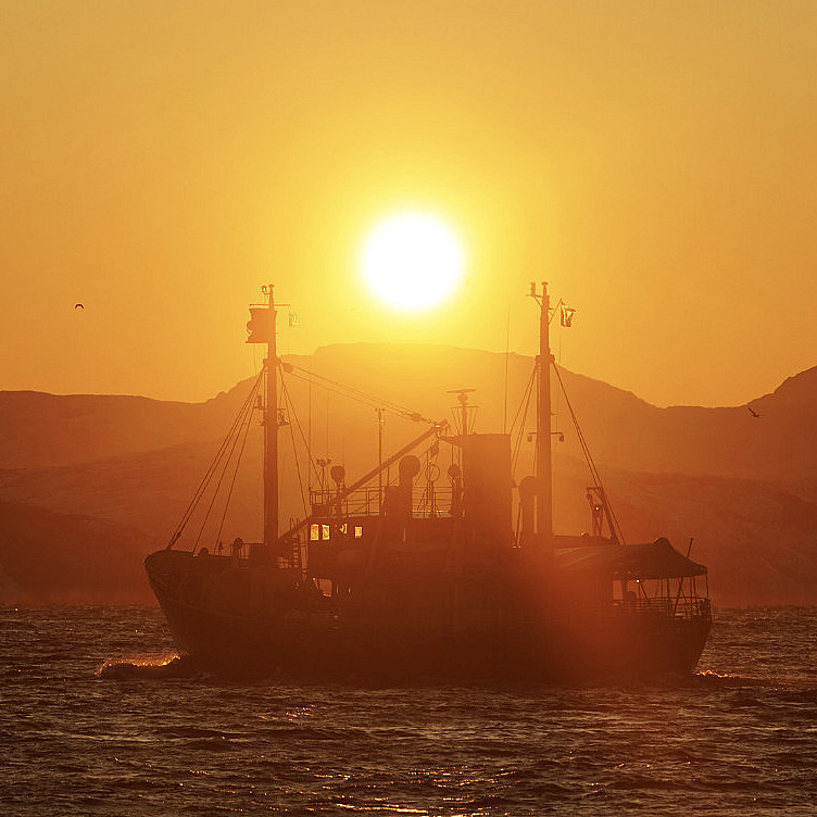 Eagle & Sunset cruise