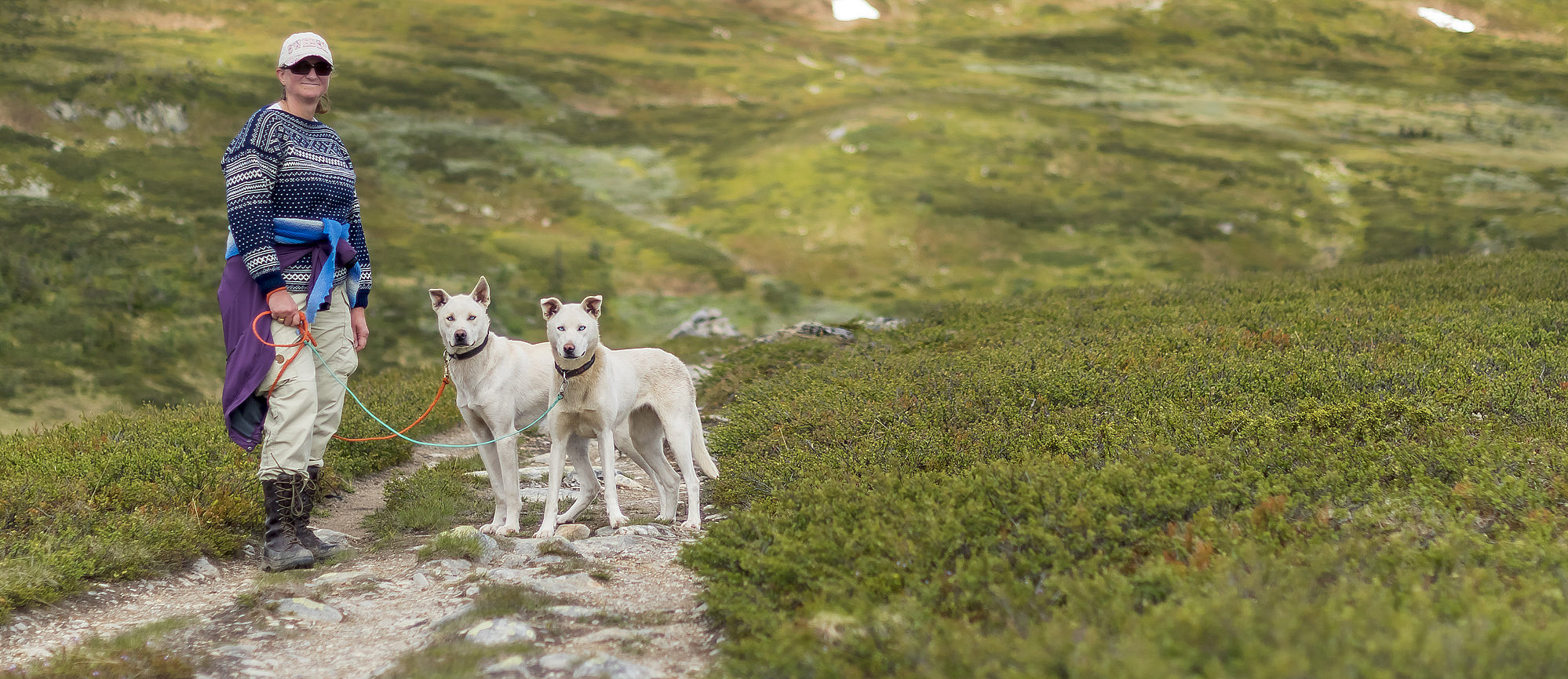 Husky hiking