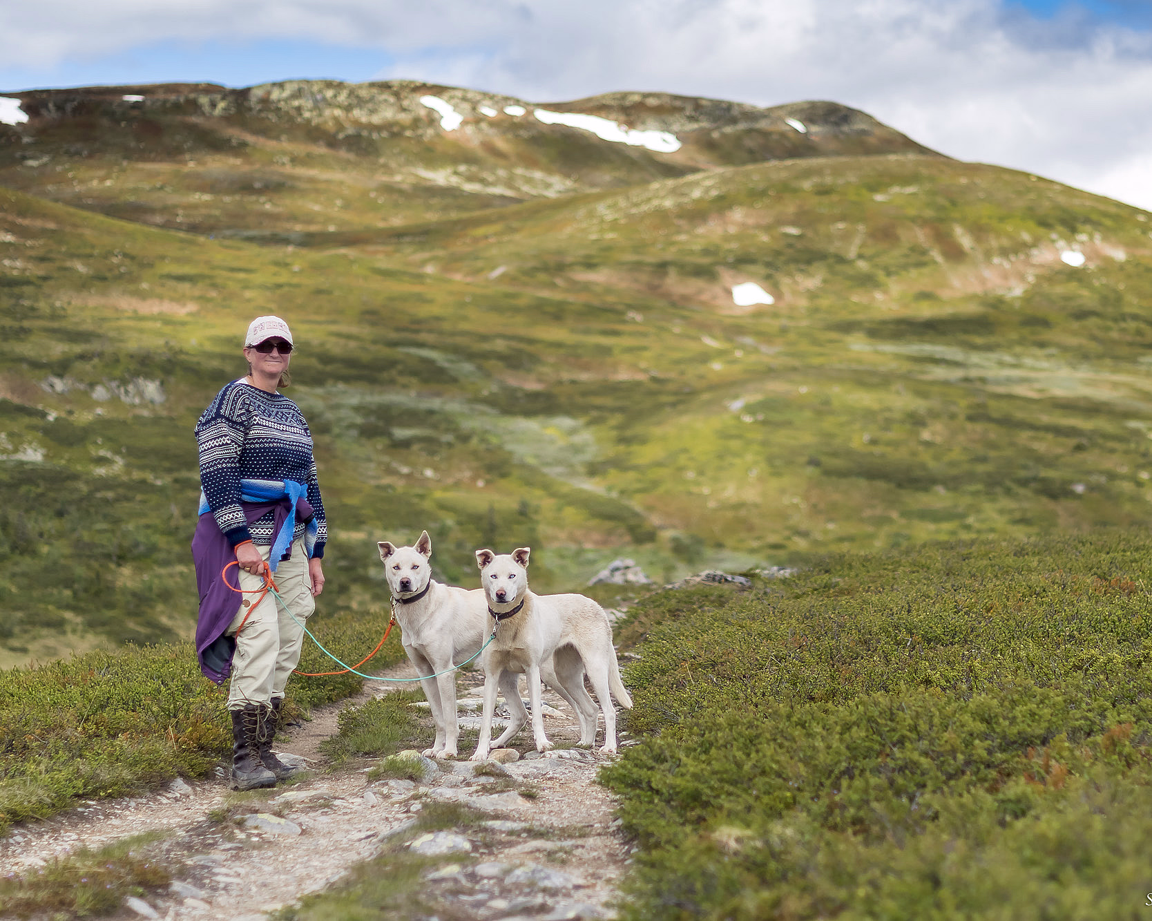 Husky hiking - image 3