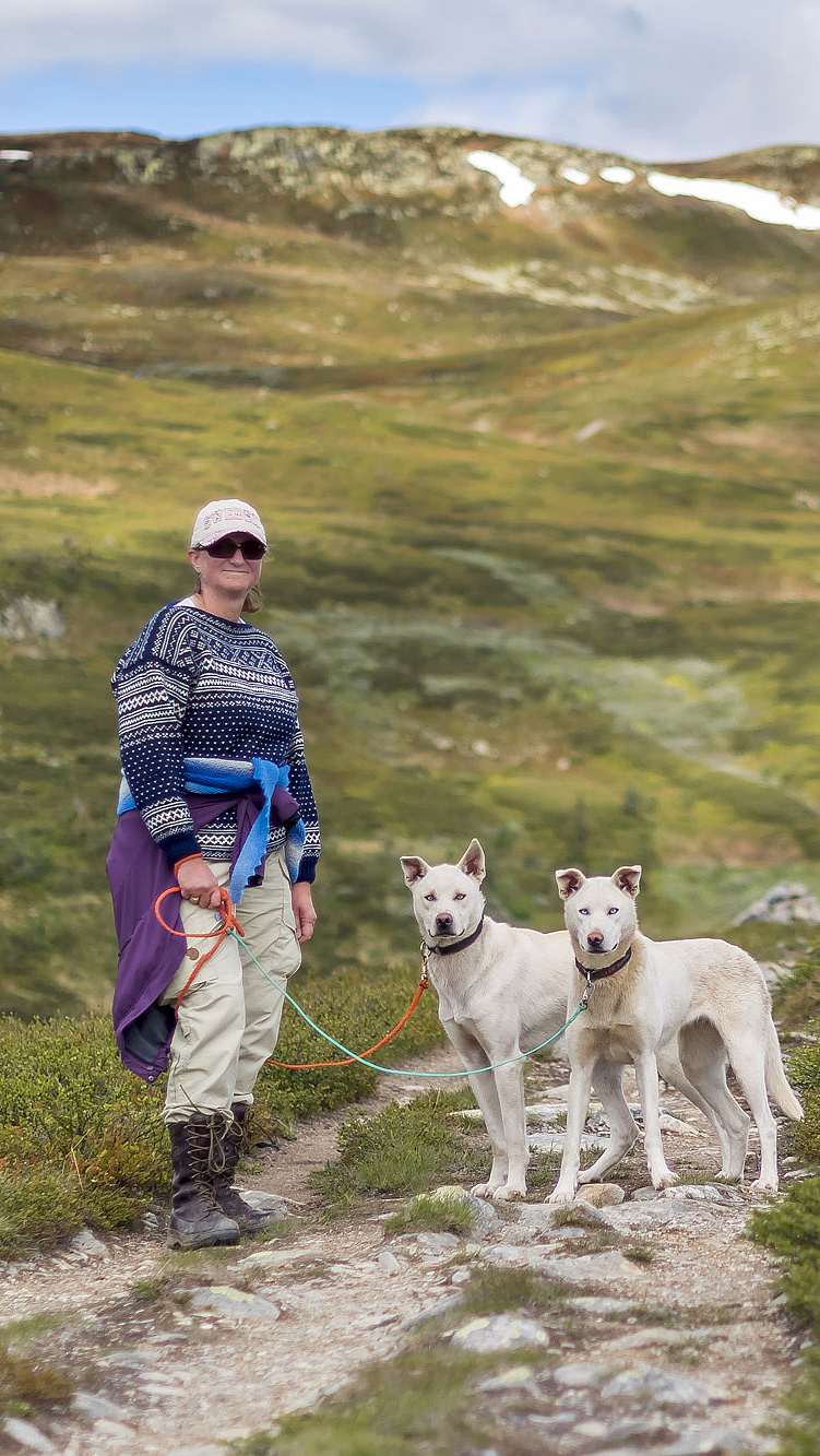 Husky hiking - image 3
