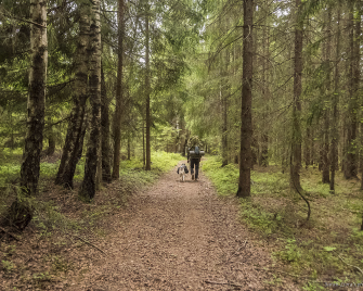 Person med stor ryggsekk og hund som går på en sti i skogen