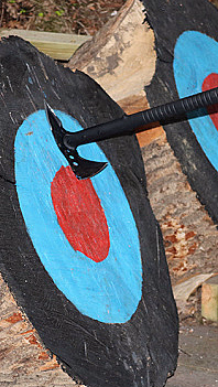 Wild West Battle - image 2