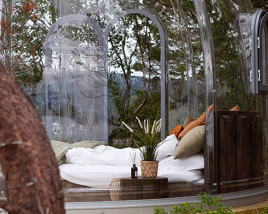 Igloo Dome - image 4