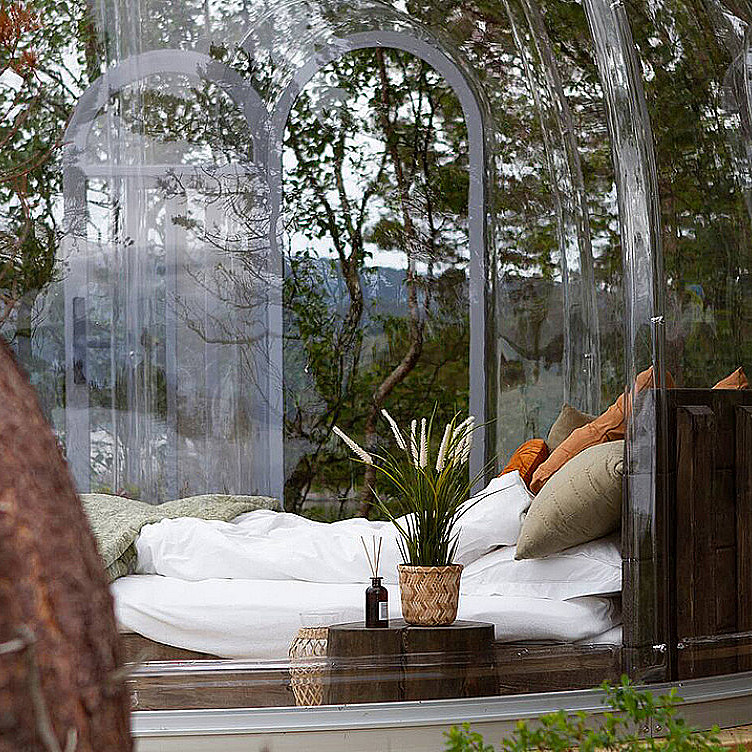 Igloo Dome