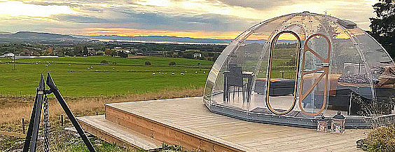 Igloo Dome