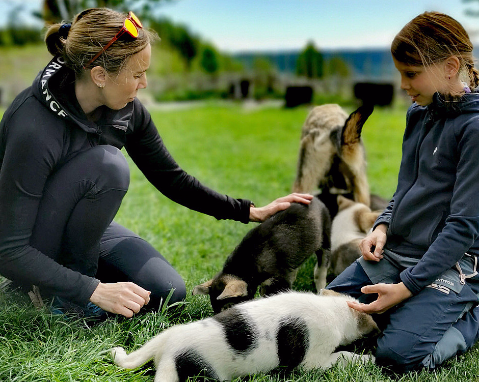 Kennel Husky Besøk - image 1