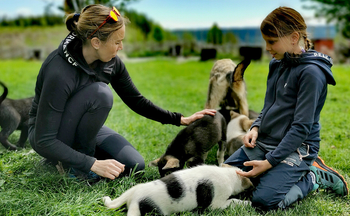 Kennel Husky Besøk