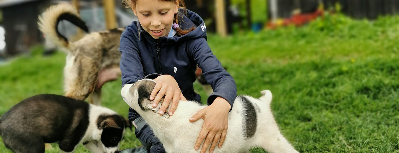 Kennel Husky Besøk