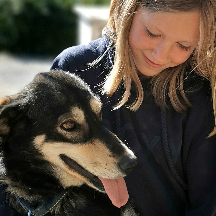 Kennel Husky Besøk